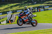 Lower Group Orange Bikes